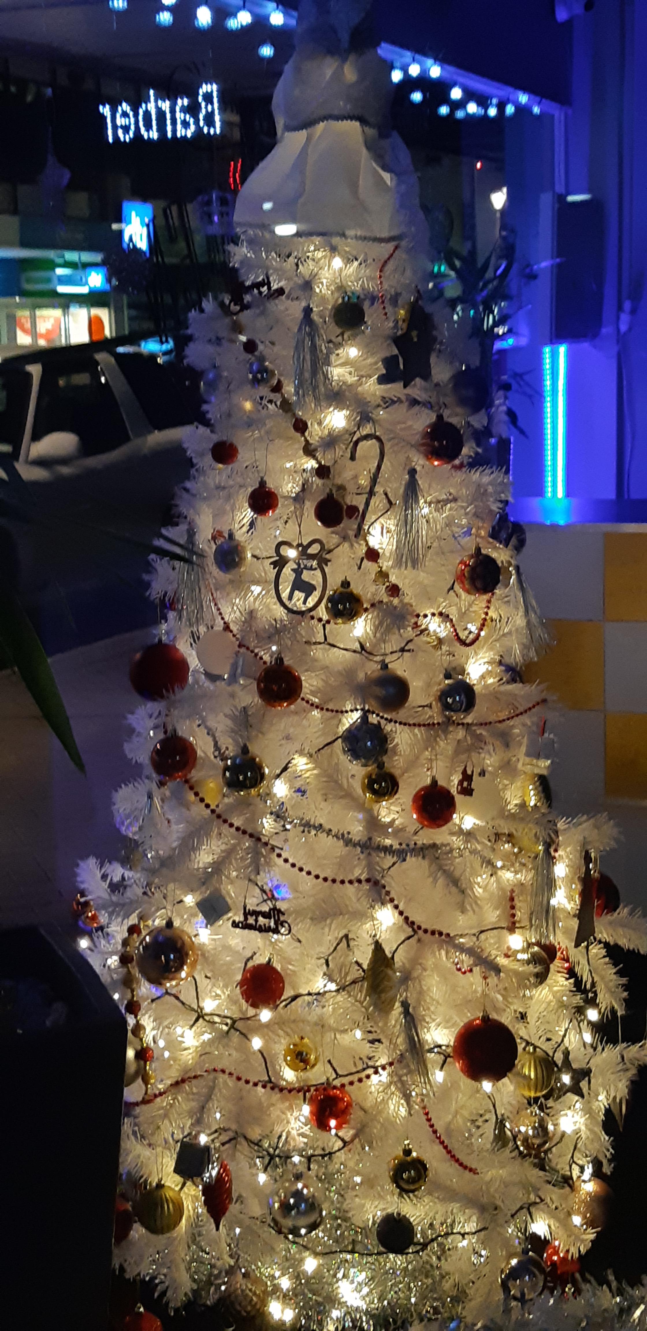 Christmas trees in Southend Southend Business Group