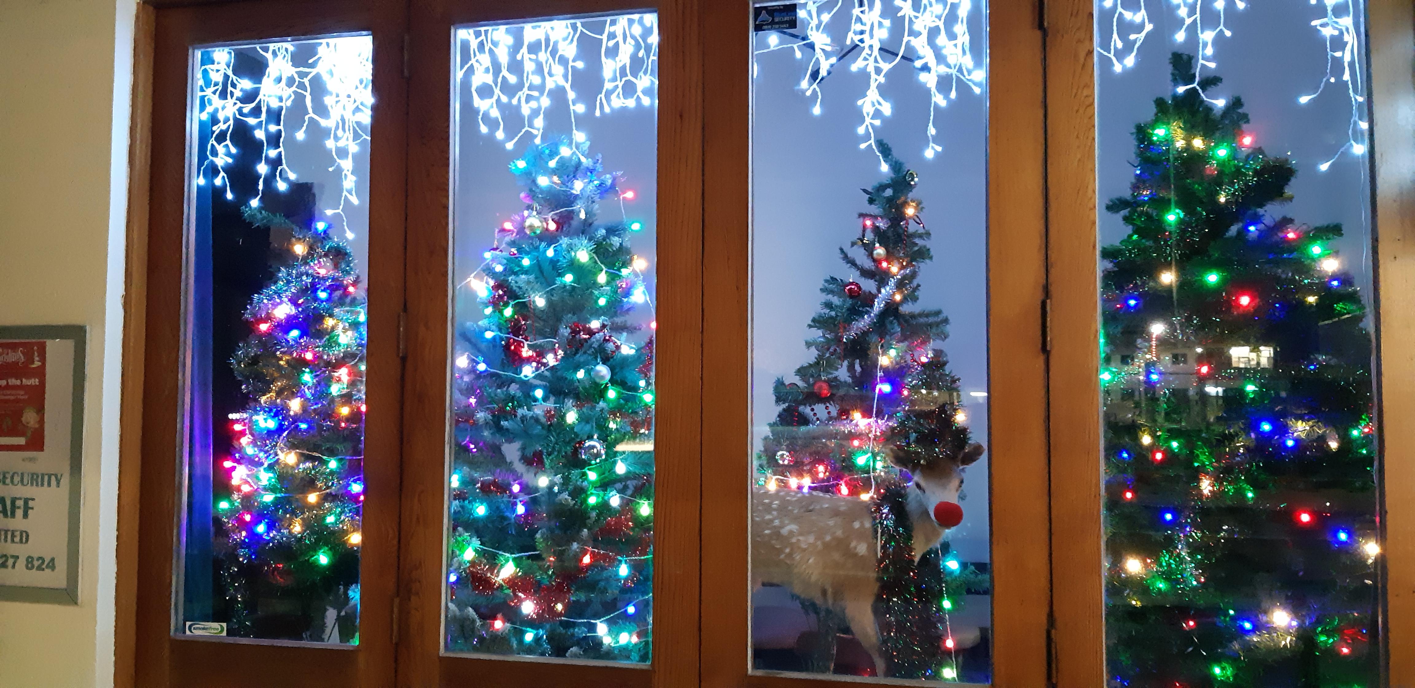 Christmas trees in Southend Southend Business Group