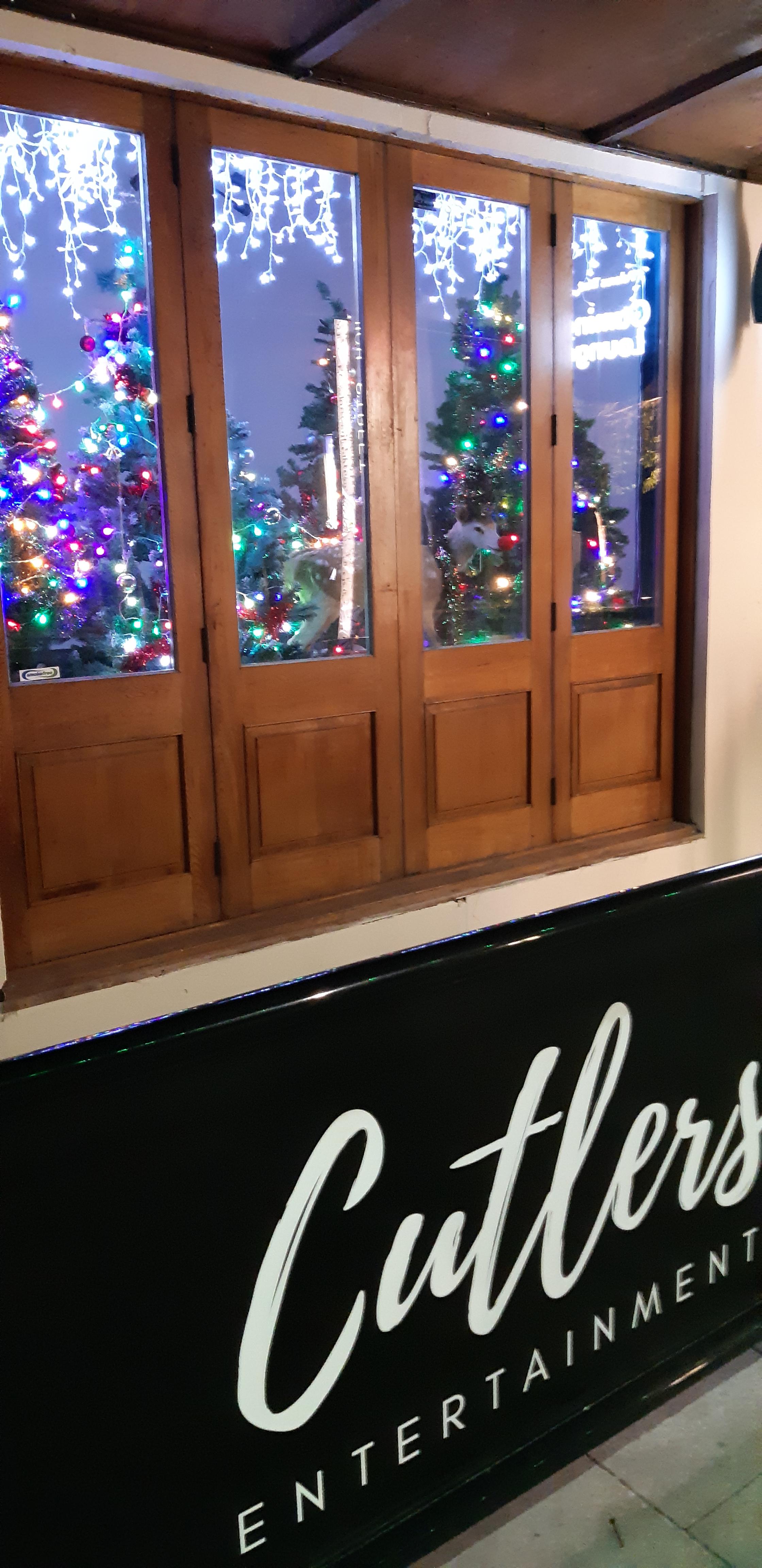 Christmas trees in Southend Southend Business Group