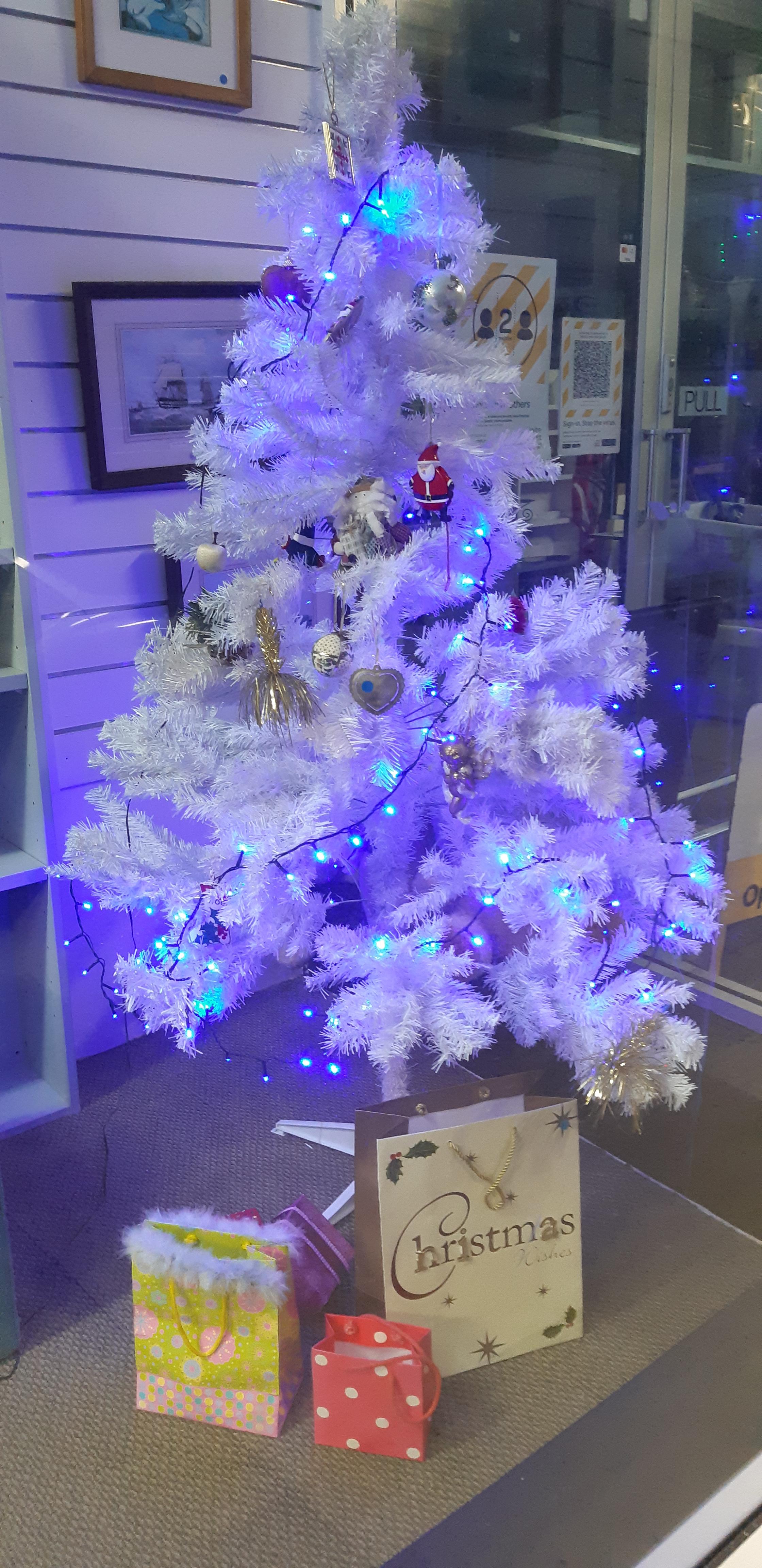 Christmas trees in Southend Southend Business Group