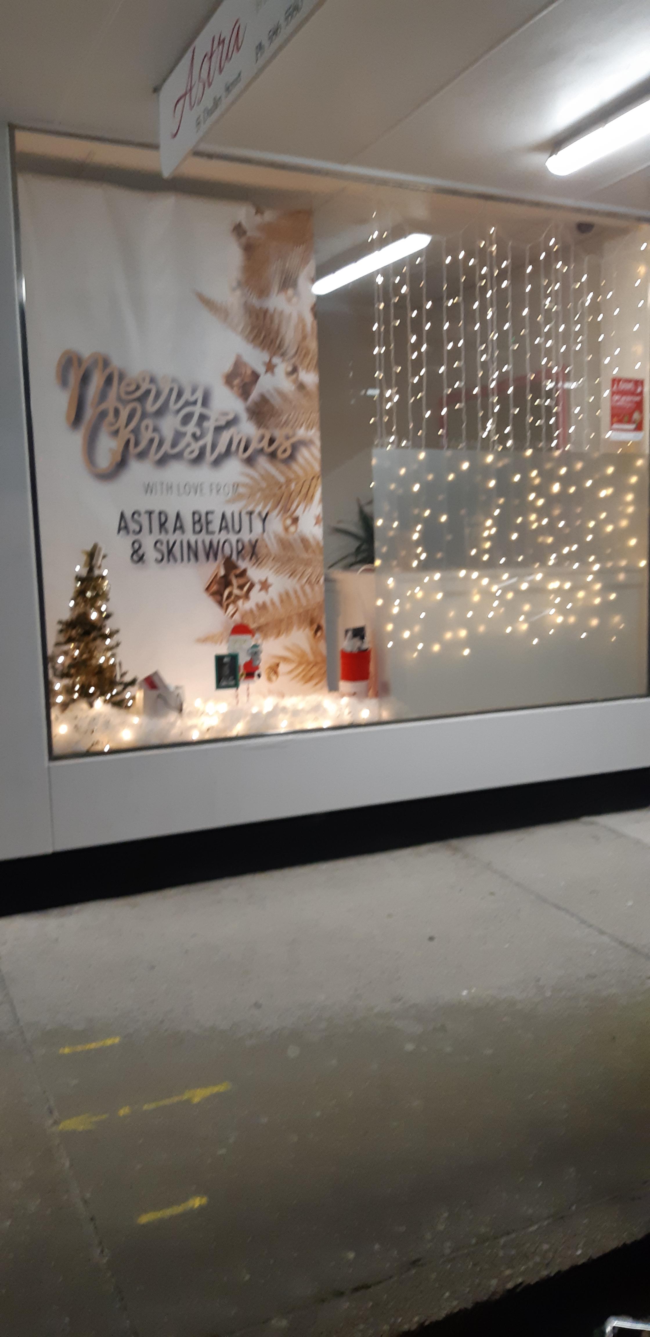 Christmas trees in Southend Southend Business Group