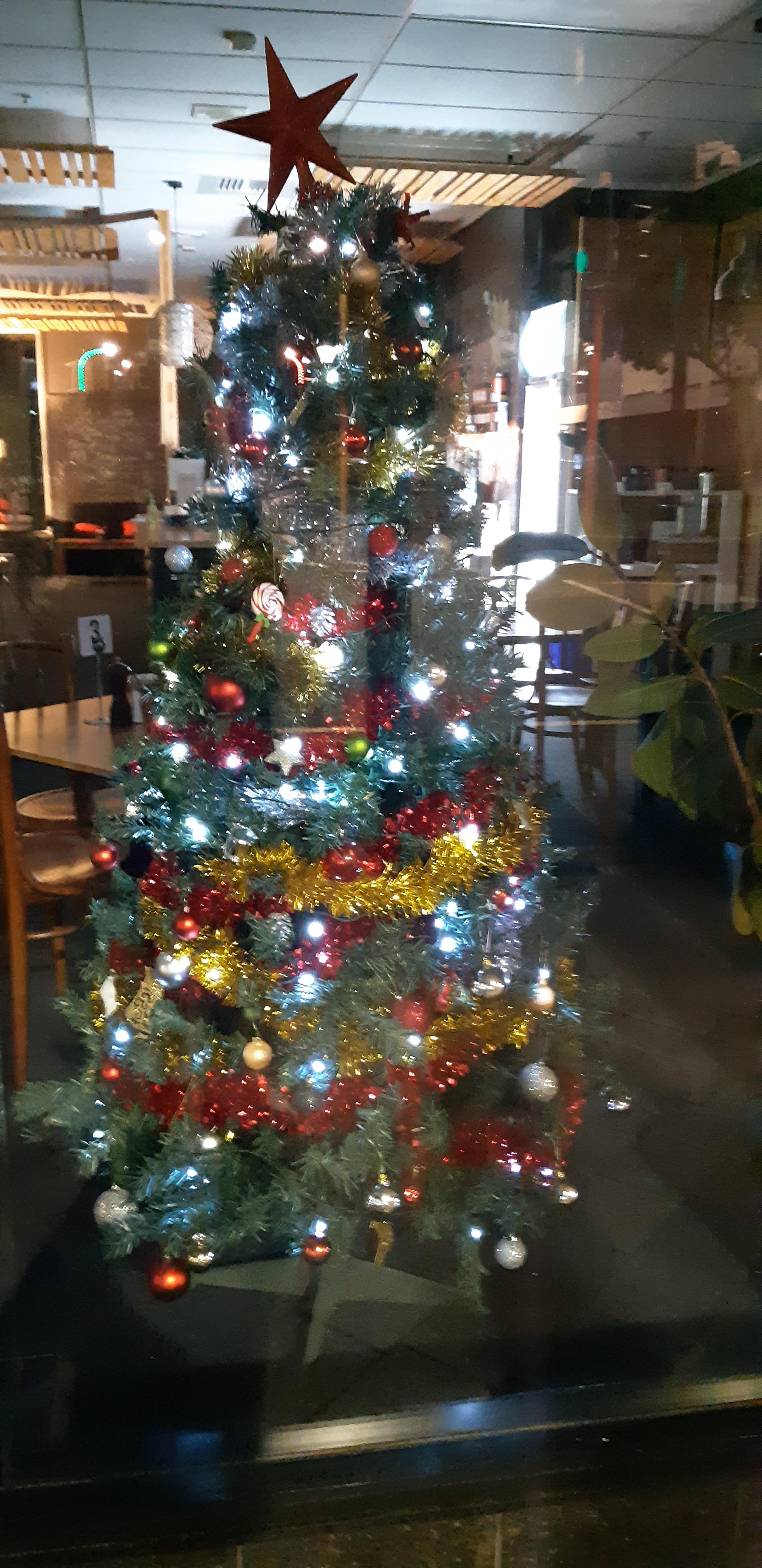 Christmas trees in Southend Southend Business Group