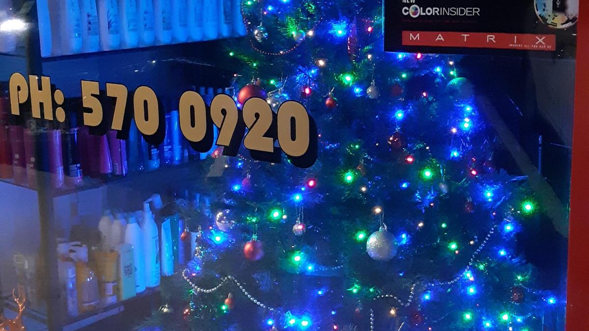 Christmas trees in Southend Southend Business Group