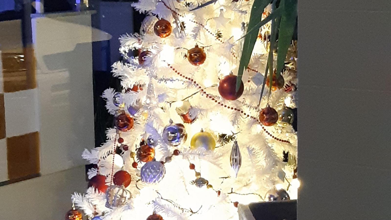 Christmas trees in Southend Southend Business Group