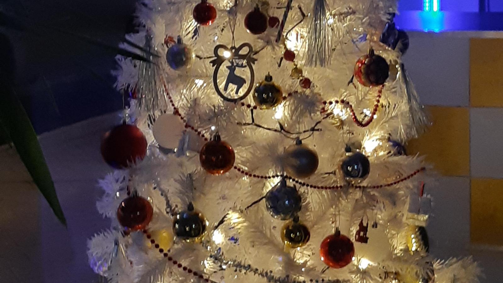 Christmas trees in Southend Southend Business Group