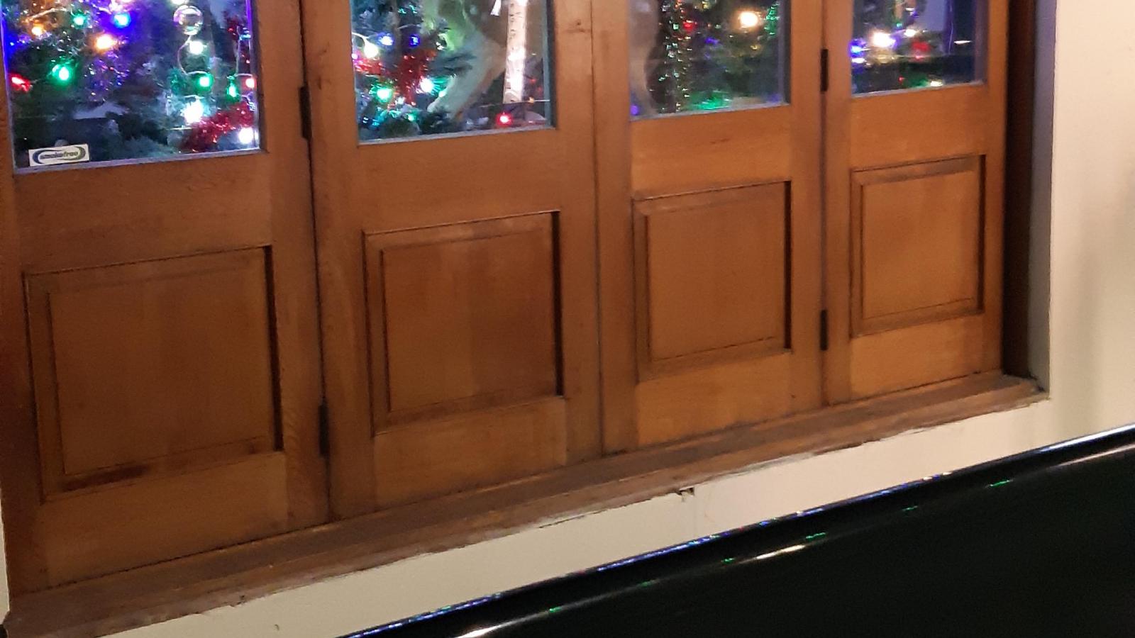 Christmas trees in Southend Southend Business Group