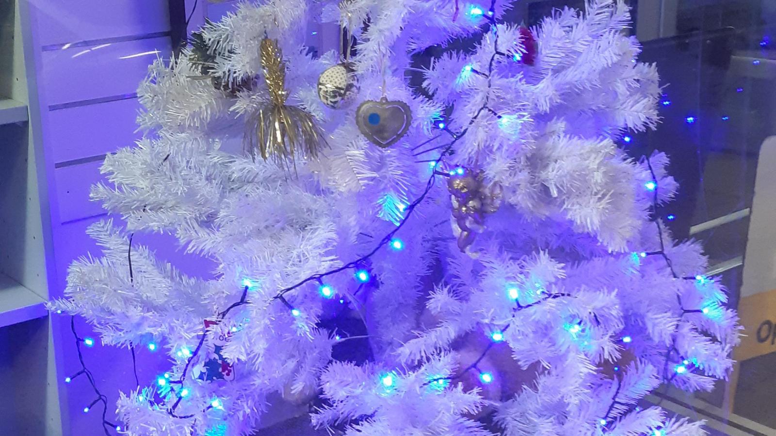 Christmas trees in Southend Southend Business Group