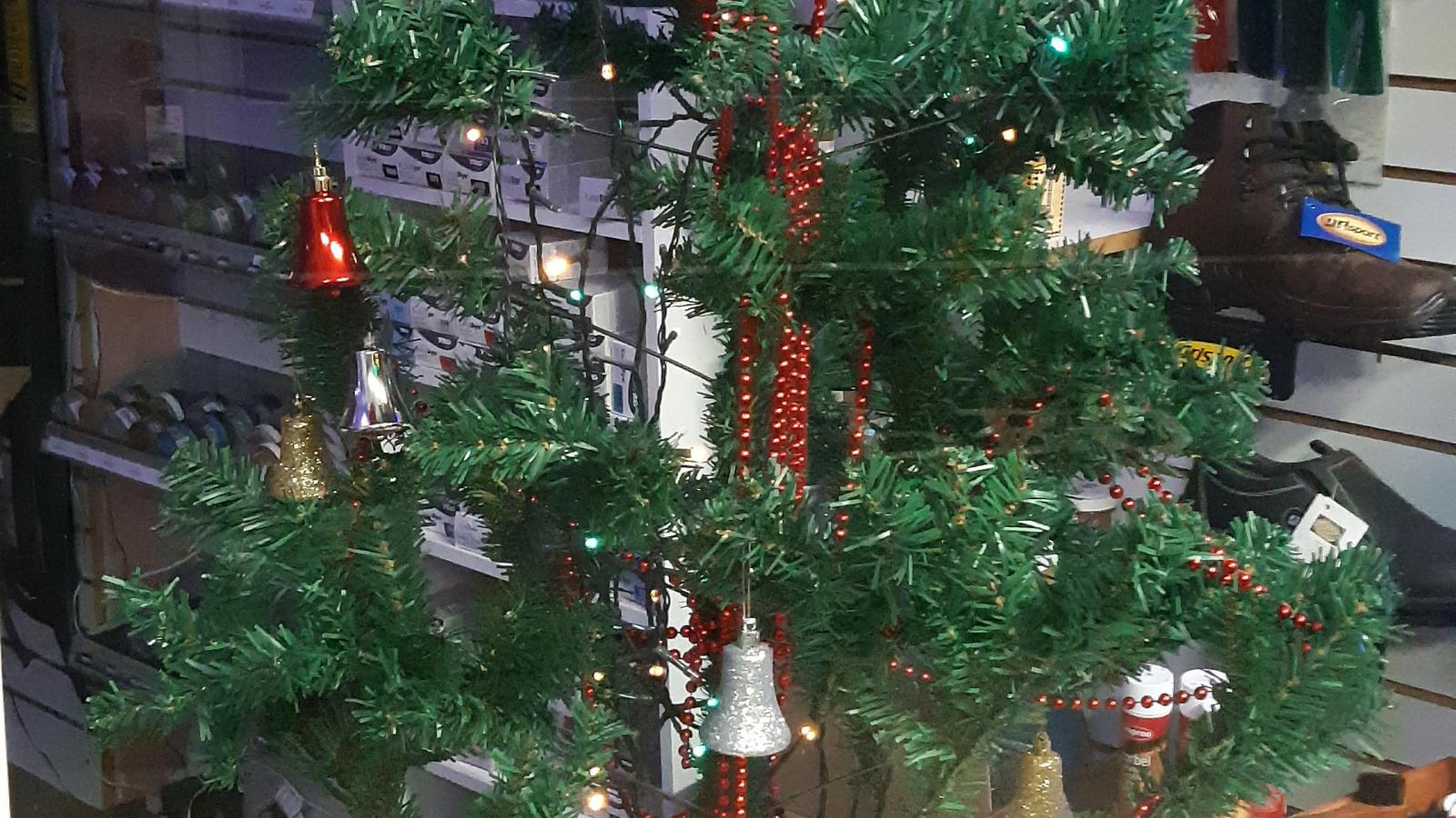 Christmas trees in Southend Southend Business Group